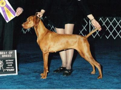 Image of Usa Bound Of Szep-Allat