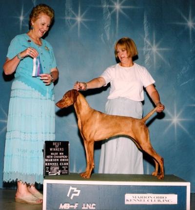 Image of Lorac's Bold And Brassy