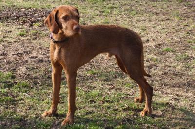 Image of Athos (2009)