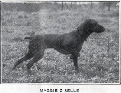 Image of Maggie z Selle