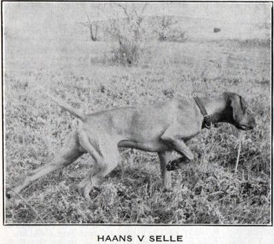 Image of Haans v Selle