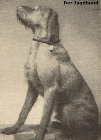Image of Aya Selle