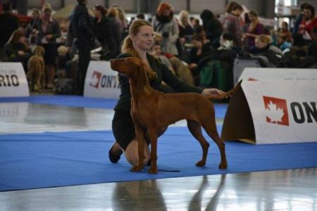 Image of Banshee Danitty