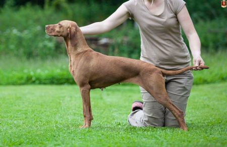 Image of Cuba z Tisnovských revíru