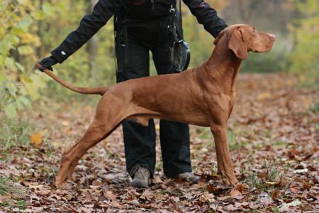 Image of Ben z Liderovic