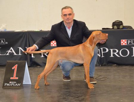 Image of Luxatori Eros