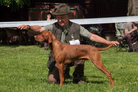 Image of Aiden z Gessayovho chotára