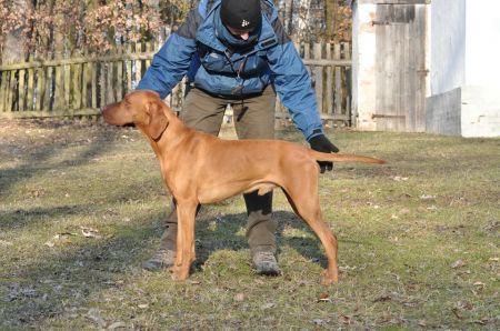 Image of Ashkii Damashca Aponivi