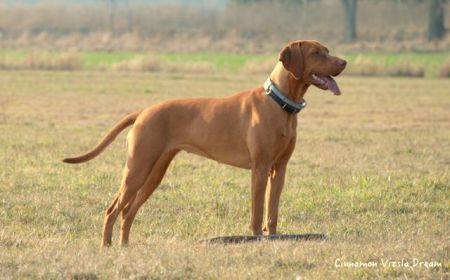 Image of Keira Magyar Tim