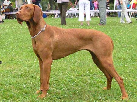 Image of Bell of Hope Bohdanec