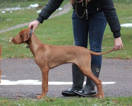 Image of Delicate Nose Coco Lotte