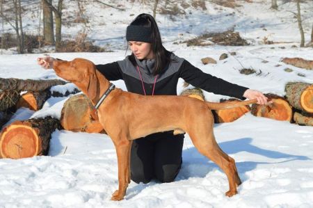 Image of Demon with a tail Coco Lotte