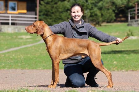 Image of Catch Tim If You Can Coco Lotte