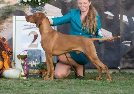 Image of Best Of Casa de Canela