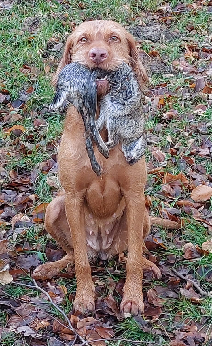 Image of Frida Regghe Valley