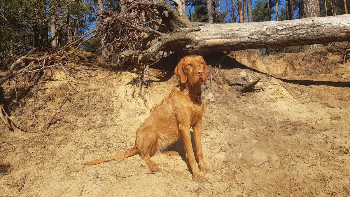 Image of Frida Regghe Valley