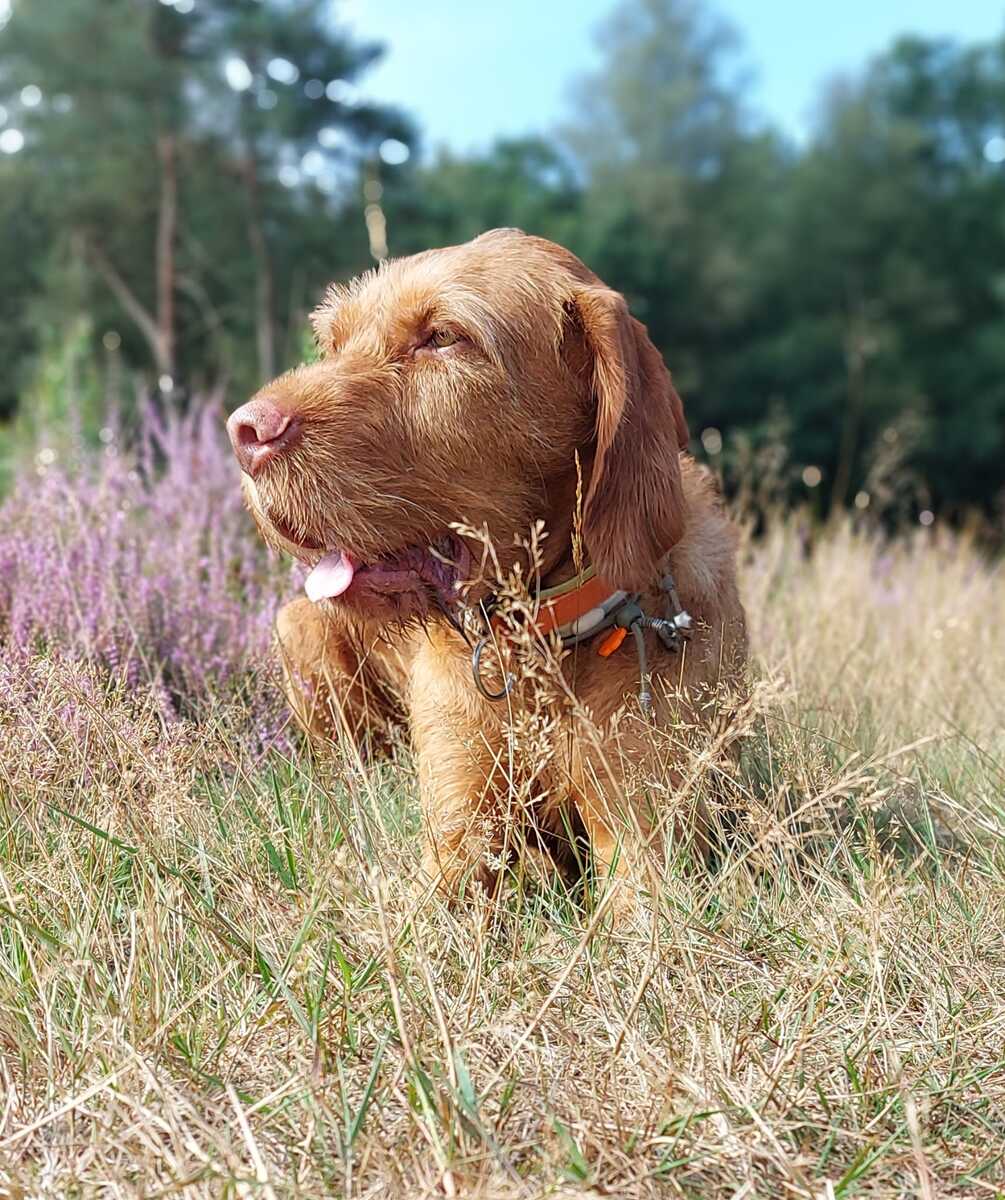 Image of Frida Regghe Valley