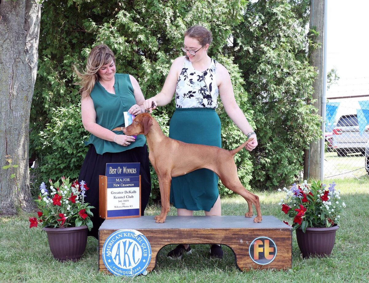 Image of Fezentrun's Livin' The Dream At Sienna Point