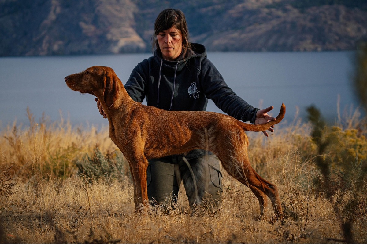 Image of Auburn Acres Sunvars Unicum At Pannonia