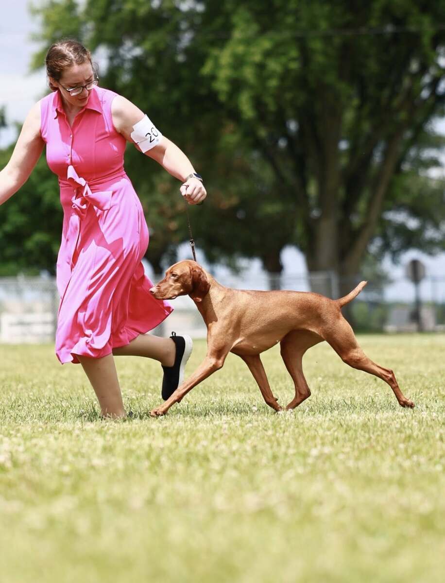 Image of Fezentrun's Livin' The Dream At Sienna Point
