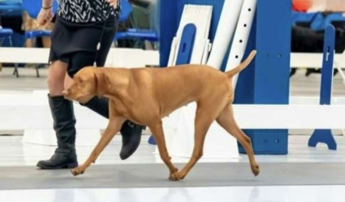 Image of Rda Nothin But Drama