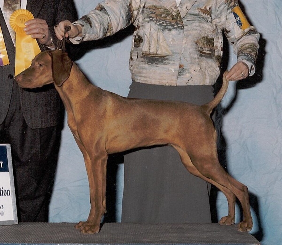 Image of Solaris Snapdragon