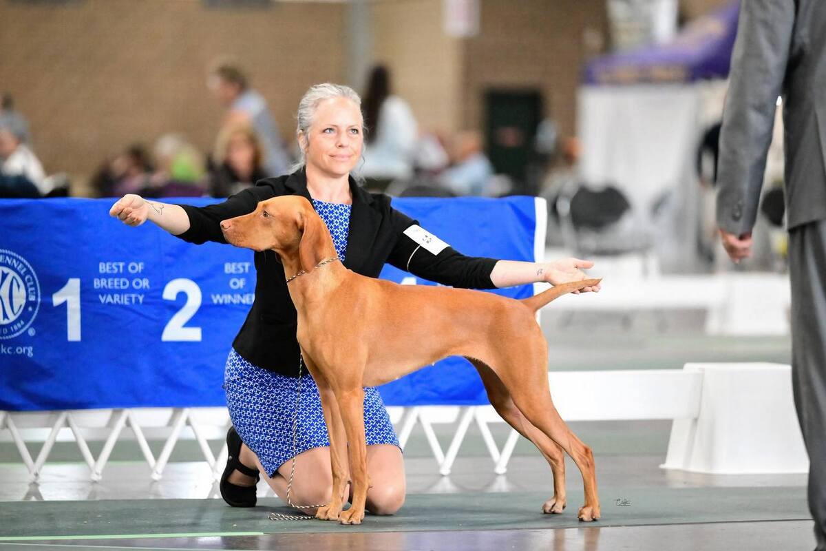 Image of Walter's -Sokoldalu's B'Rock My World