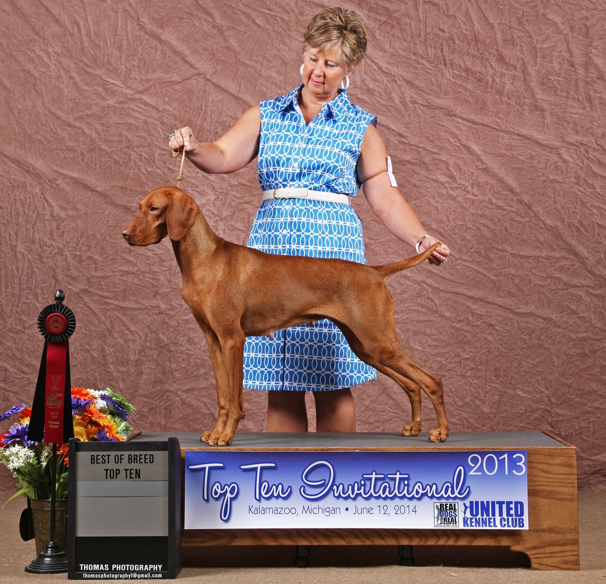 Image of Solaris Sweet Tart