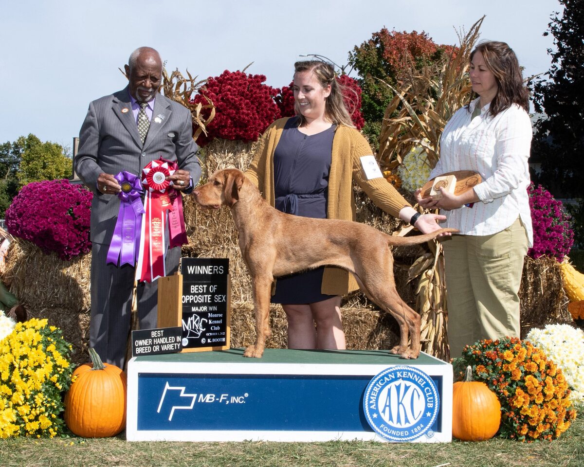 Image of Bojana von der Ilseaue