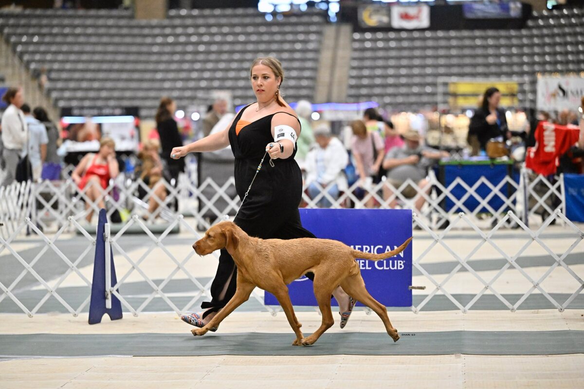Image of Bojana von der Ilseaue