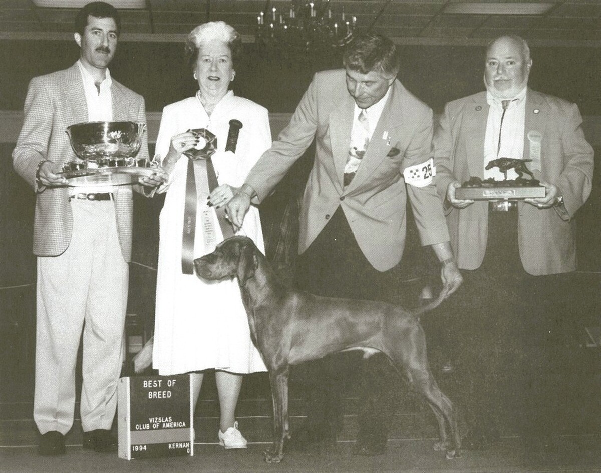 Image of Rebel Rouser Lucca