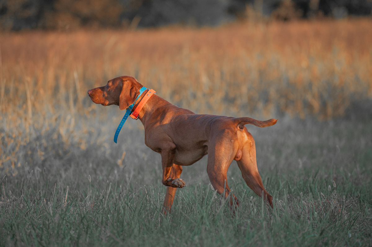 Image of Nosam Jackson Sky