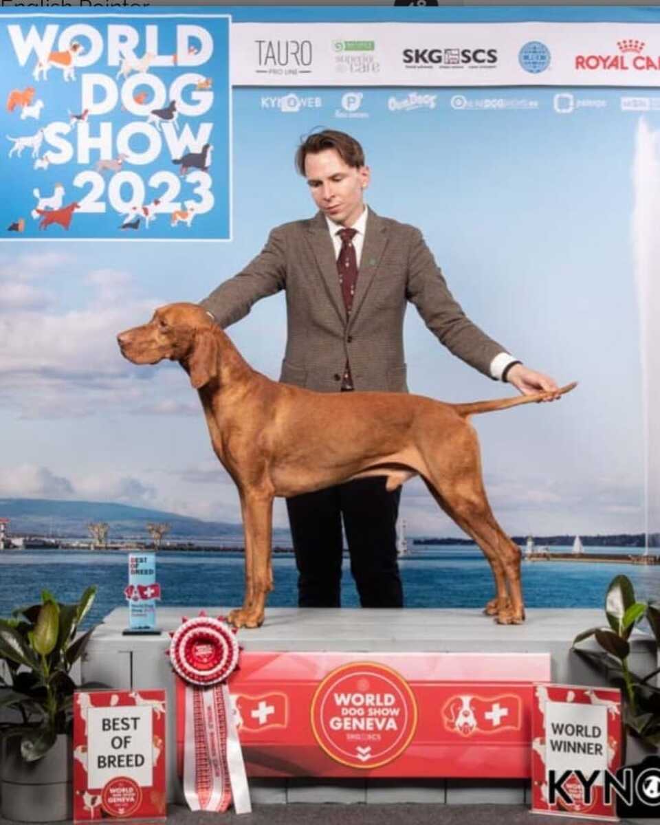 Image of Shilla Line Euro