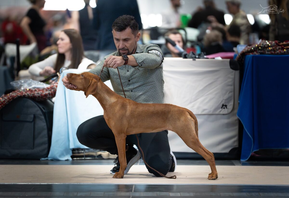 Image of Venari Venti Ciri