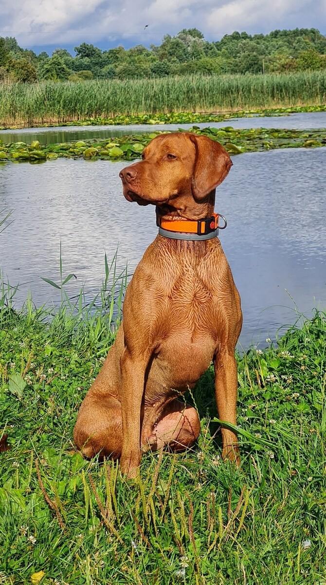 Image of Nord Pepperoni Team