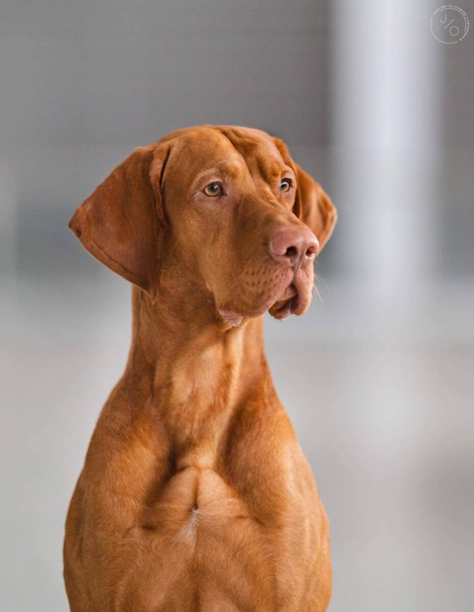 Image of Guido Magyar-Tim