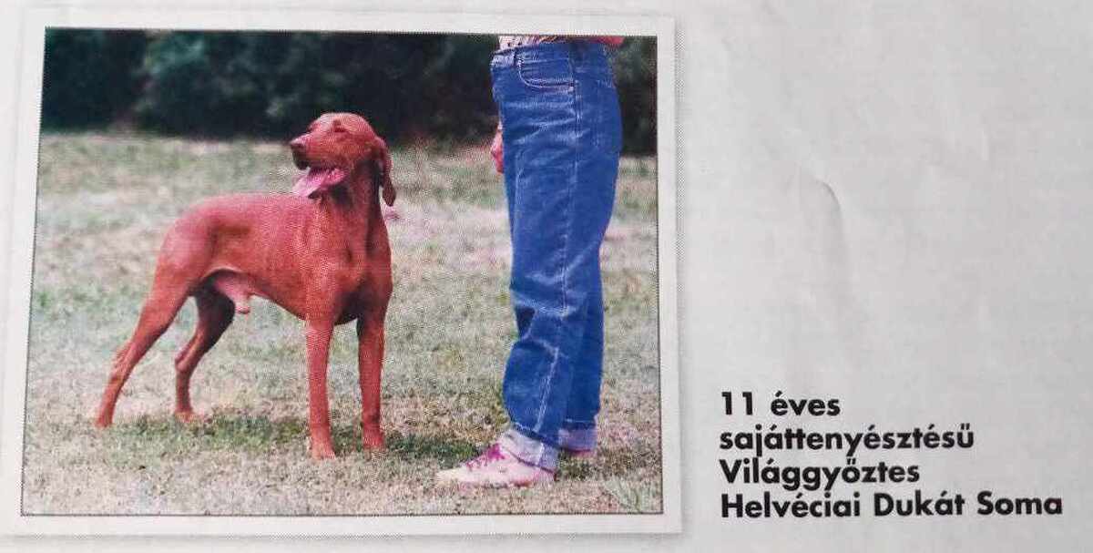 Image of Helvécia Dukát