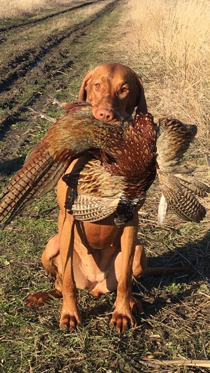 Image of Sophia of Skyrocket