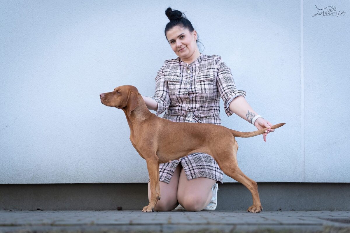 Image of Venari Venti Vistula