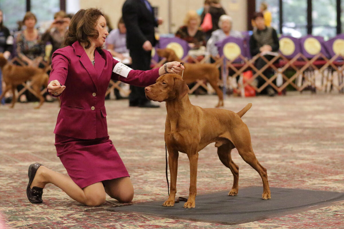 Image of Wetherbee's One Time Only