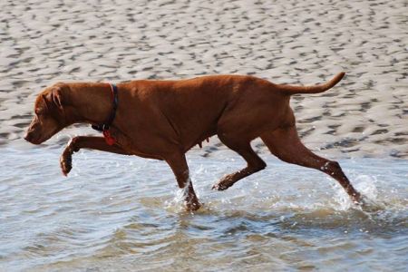 Image of Dallandor Natalia At Kenazorora