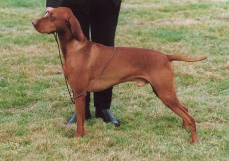 Image of Bournehouse Christmas Wine