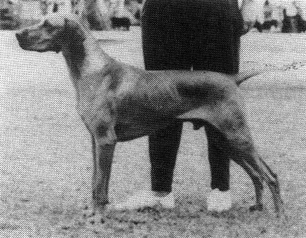 Image of Hanafor Waugh