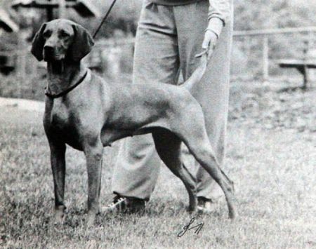 Image of Kingsbury Erica