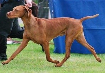 Image of Gardenway Drummond