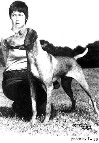 Image of Hanafor Vitez Tobias