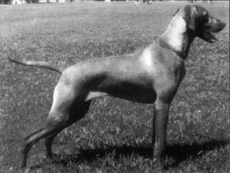 Image of Agasvari Kis Katam