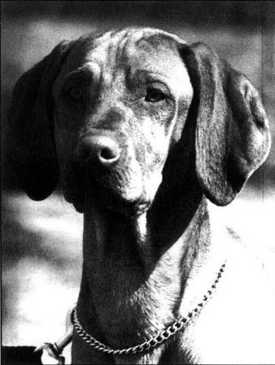 Image of Pretorium Dee Danius