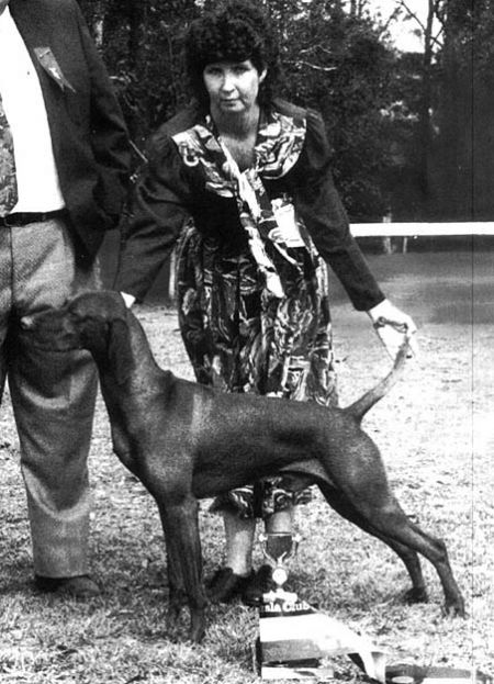 Image of Foxridge Dakota