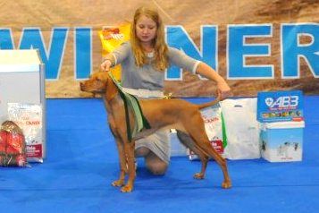 Image of Aranyvadasz Malna